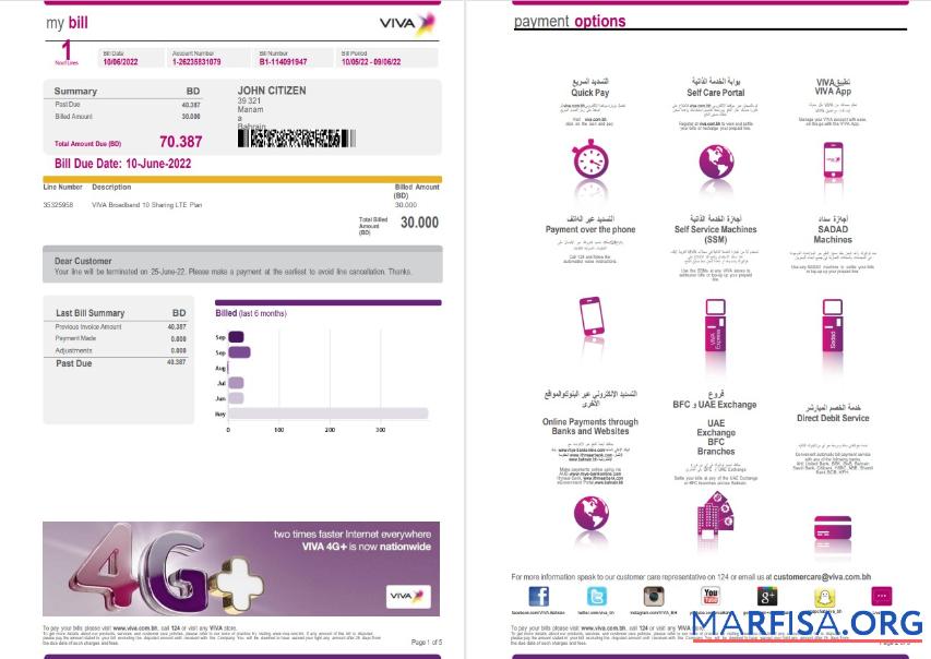 Blank Bahrain Viva my utility bill Word and PDF template, 5 pages 1 2